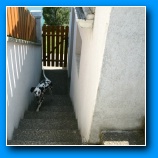 [zum Vergr��ern anklicken]